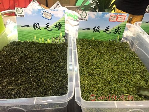 巴中有機富硒茶受茶博會青睞