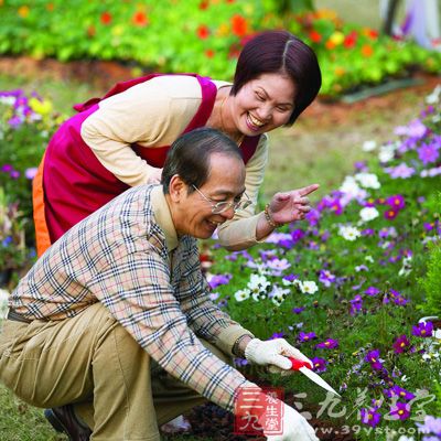 種花：陸游他把平日里種花當(dāng)做是老年人有童心的方法