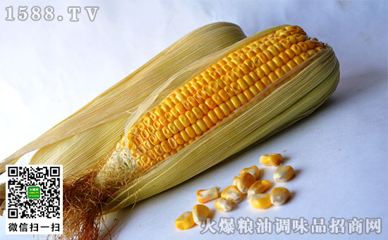 玉米是豆類嗎