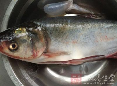 每100克鰱魚中，約含蛋白質(zhì)18.6克，脂肪4.6克